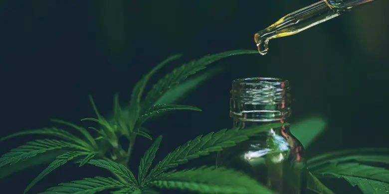 Leia mais sobre o artigo O que é óleo de CBD?